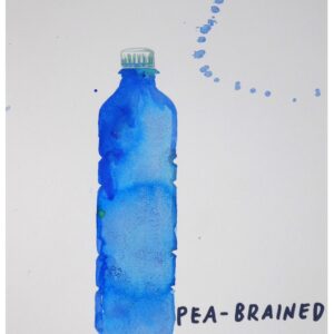 SEAWATERCOLOURS INSULT (peabrained) BY PAUL DAVIS