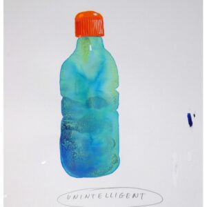 SEAWATERCOLOURS INSULT (unintelligent) BY PAUL DAVIS